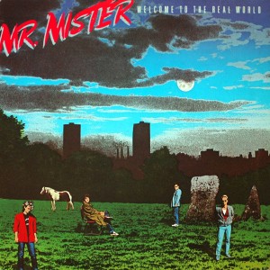 MR.MISTER WELCOME TO THE REAL WORLD